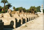 Tempel"Luxor"